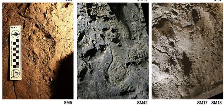 עקבות ילדים ממערת בסורה (Basura Cave), 14,000 שנים לפני זמננו