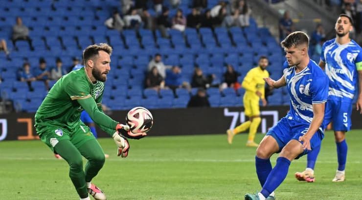 מתן זלמנוביץ'