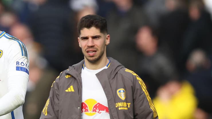 מנור סולומון