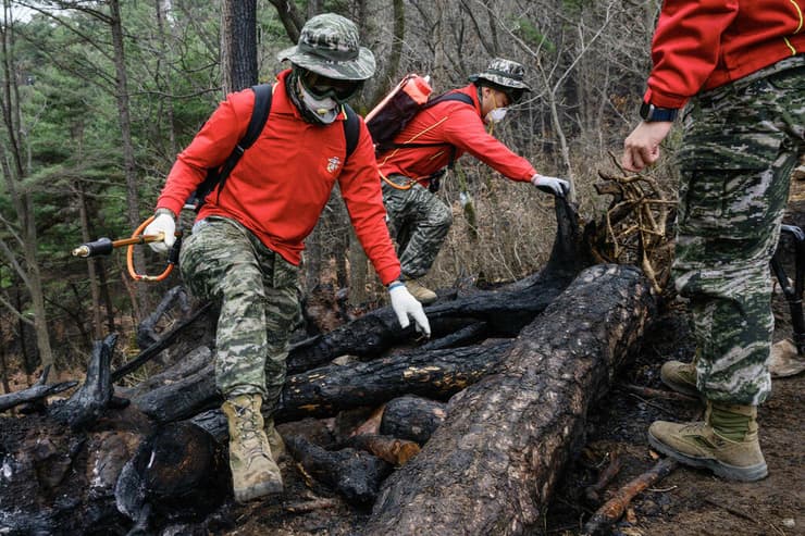 שריפה דרום קוריאה