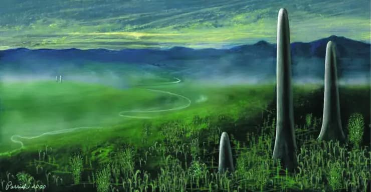 לא צמחים ולא פטריות