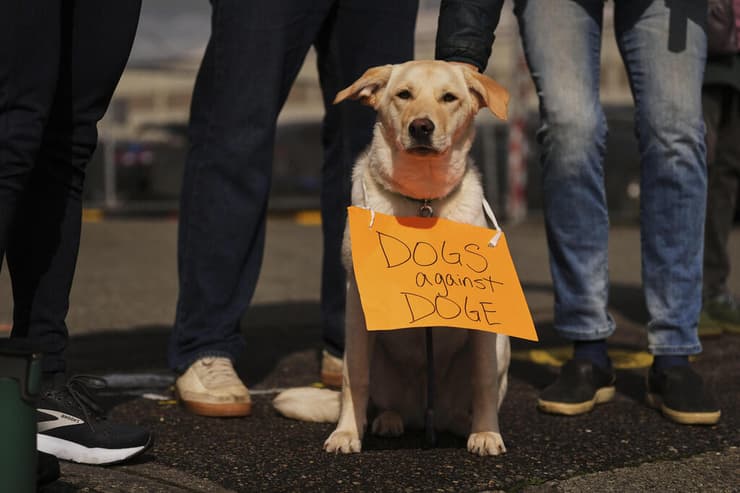 29 במרץ הפגנה נגד חברת טסלה ו אילון מאסק  סיאטל ארה"ב
