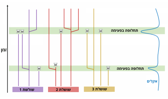אירועי סביבה קיצוניים אחראים לתקופות שבהן יש גם הכחדה וגם היווצרות של מינים חדשים רבים. אילוסטרציה של תיאוריית התחלופה-בפעימה 