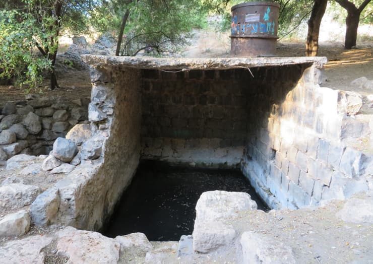 עין חוקוק. מי המעיין בתוך בריכה מהתקופה המנדטורית. המים אינם זמינים לחיות הבר (צילום: ד"ר אורית סקוטלסקי) עין חוקוק. מי המעיין בתוך בריכה מהתקופה המנדטורית. המים אינם זמינים לחיות הבר