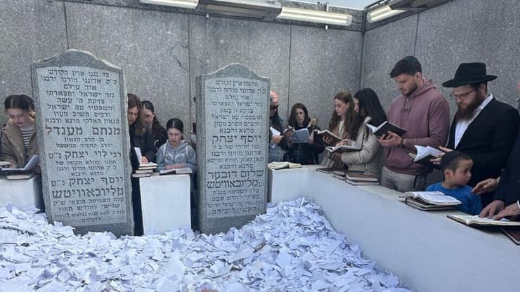 סשה טרופנוב ליד קברו של הרבי מלובביץ'