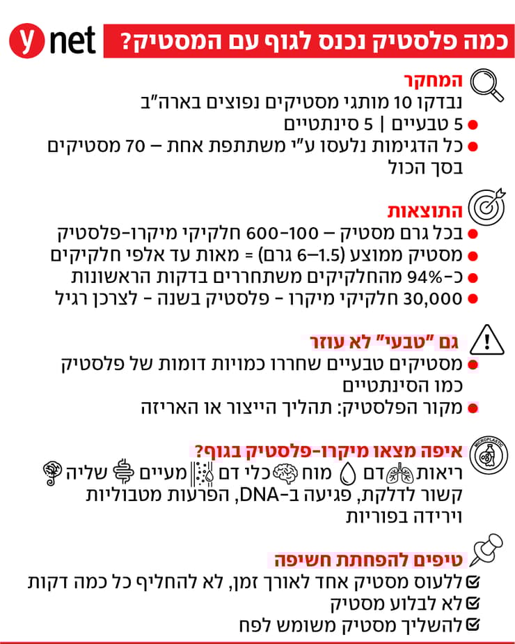 אינפו מסטיק ומיקרו-פלסטיק