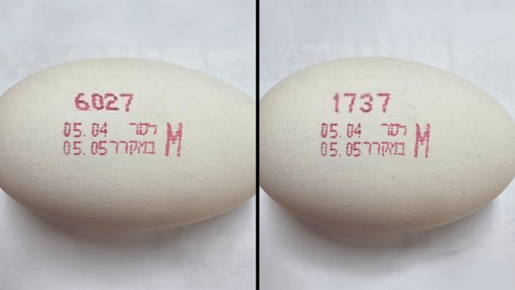 ביצים המסומנות בקודים הללו עלולות להכיל סלמונלה (צילום: משרד הבריאות) ביצים נגועות בחיידקי סלמונלה