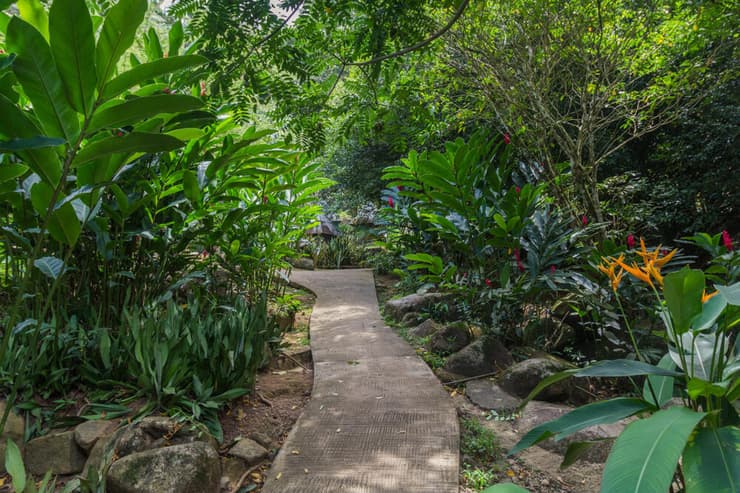 גן התבלינים ז'ארדן דו רואה (Jardin du Roi)