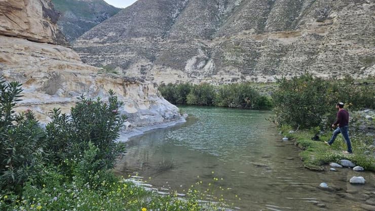 נחל הרוקאד (צילום: לימור פורטל) נחל הרוקאד