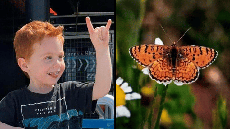 האקדמיה ללשון העברי במכתב לירדן ביבס