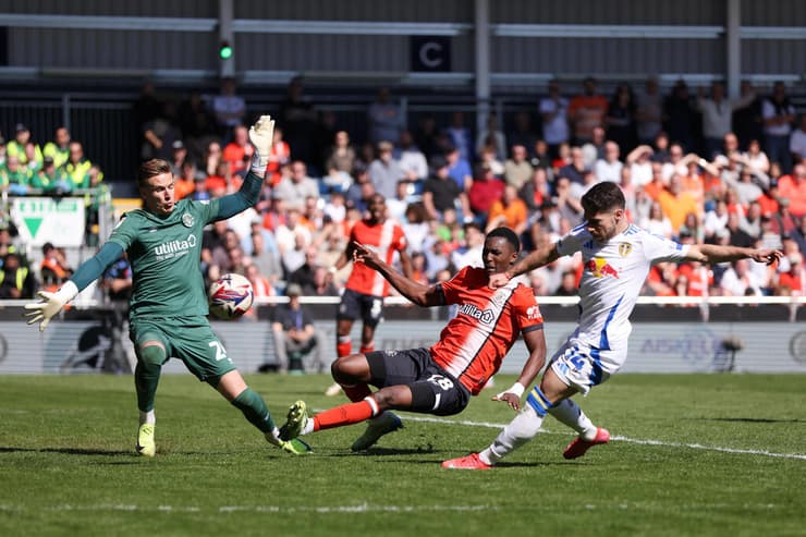 מנור סולומון נגד לוטון