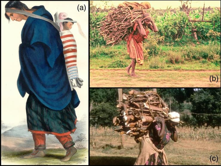 דוגמאות לשימוש ברצועות ראש בקרב ילידי צפון אמריקה (A) ובאפריקה (B,C)