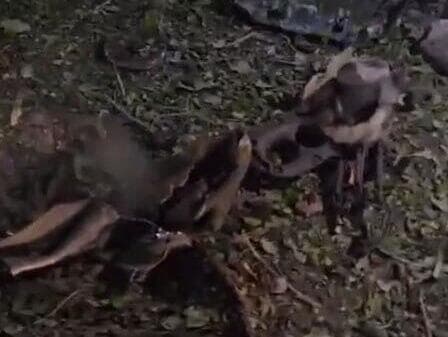 רסיסים באשקלון נפילת רסיסים באשקלון