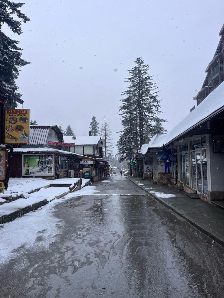 הפועל ת"א בבולגריה