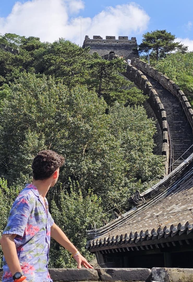 אבי רוזנפלד