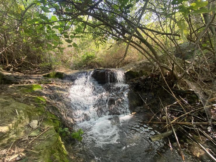מפלון בנחל סמך, באזור הגשר הסורי