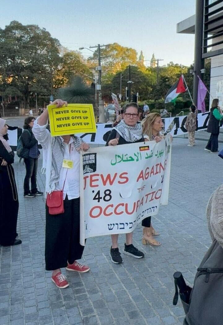 מפגינים פרו פלסטיניים