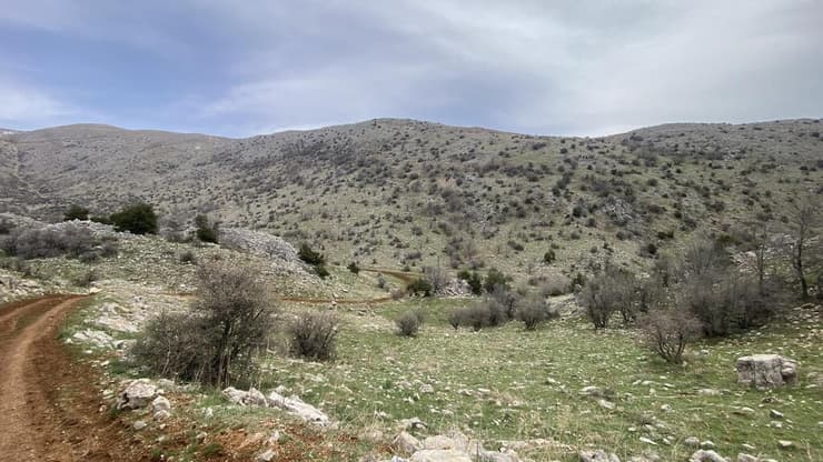 "שביל הגולן" יורד אל נחל גובתה