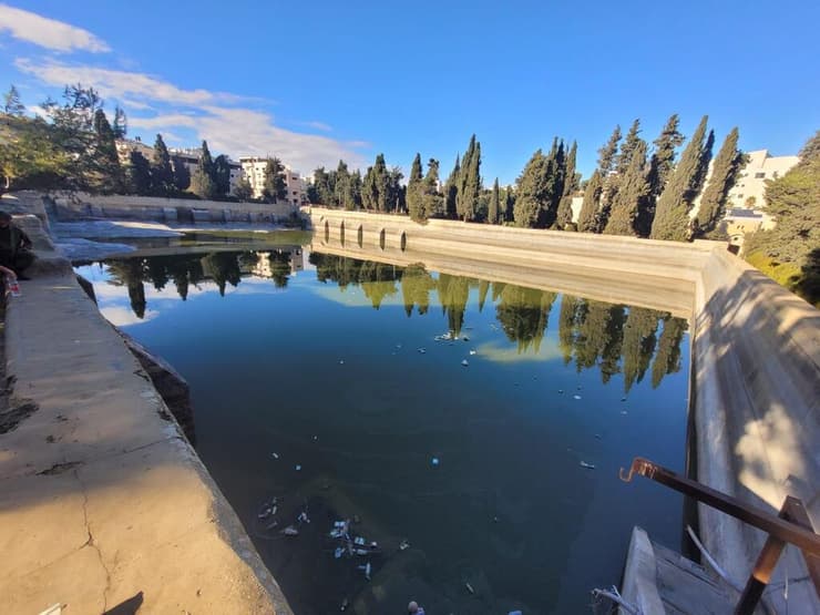 בריכות שלמה