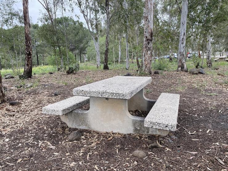 חניון דליות