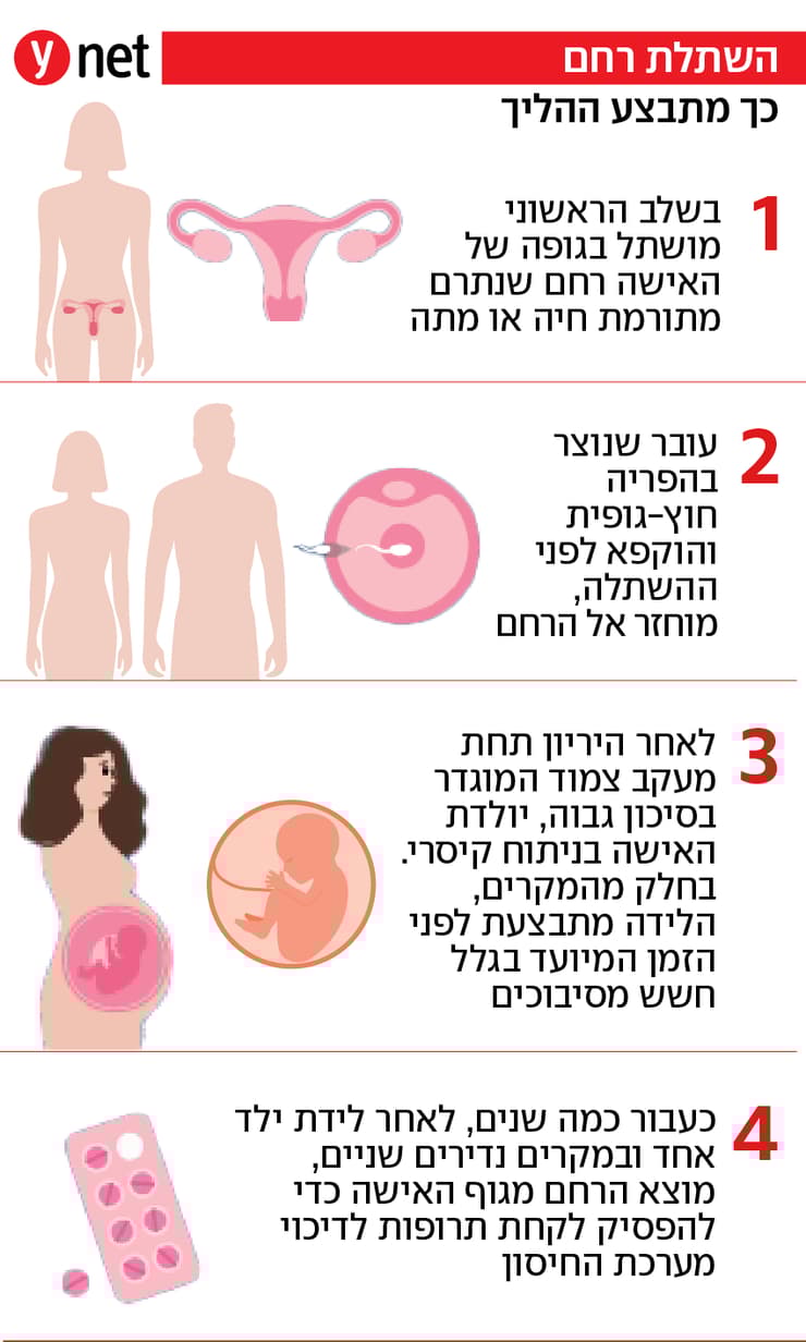 השתלת רחם אינפו