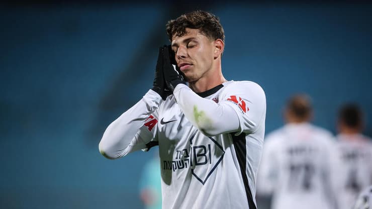 סתיו טוריאל