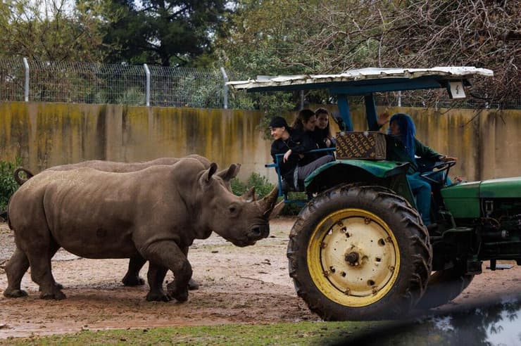 זיו קורן התלווה לאמילי דמארי ורומי גונן בחיים שאחרי השבי