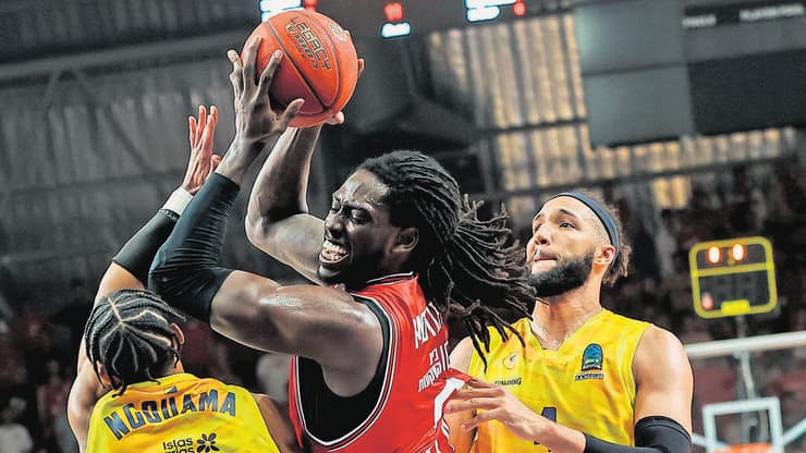 ג'ונתן מוטלי