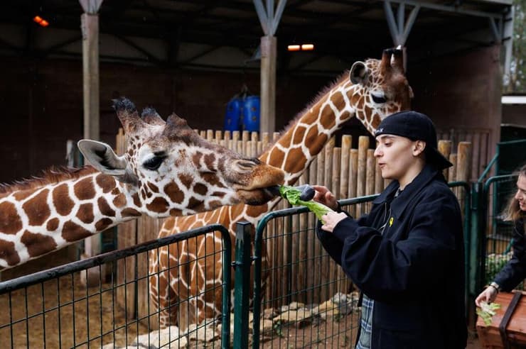 זיו קורן התלווה לאמילי דמארי ורומי גונן בחיים שאחרי השבי