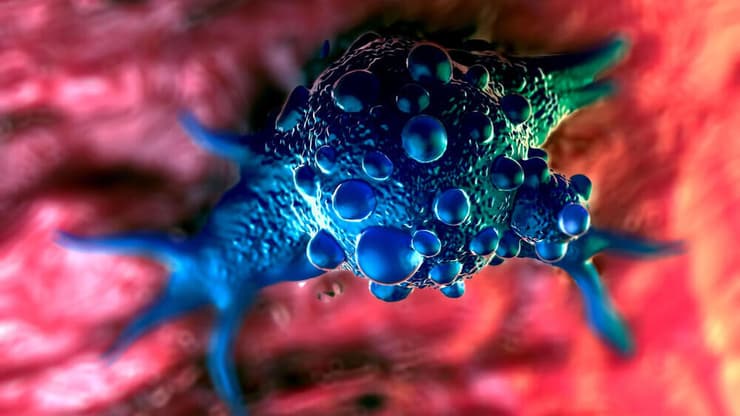 תאי סרטן שלפוחית השתן