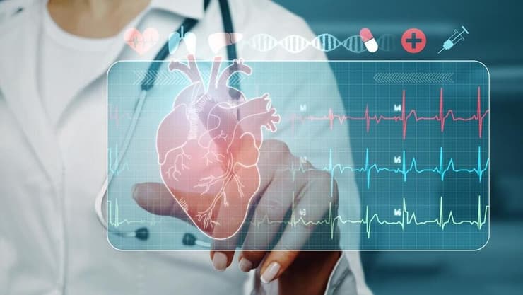 הכלי החדש לא "מוסח" על ידי הרקע, והוא מצליח לזהות ולהדגיש גם פרטים קטנים בתוך התרשים (צילום: Shutterstock) בריאות הלב