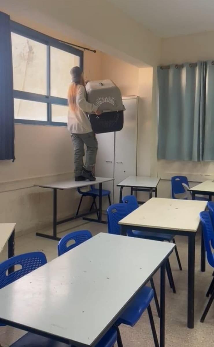 לכידת הקוף בכיתה