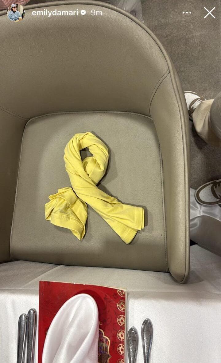 הסטורי של אמילי דמארי אמילי דמארי שורדת שבי השבי פרסמה סטורי אינסטגרם ליל סדר הסדר פסח חג