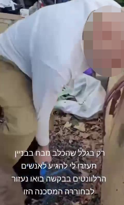 תיעוד: אב ובנו תוקפים את שכנתם בפתח תקווה ומאיימים להרוג את הכלב שלה