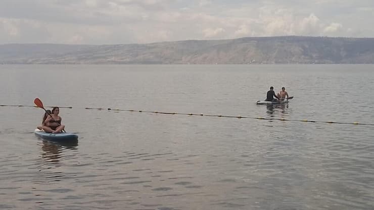 כינרת