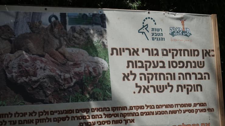 שלט על הימצאות הגורים