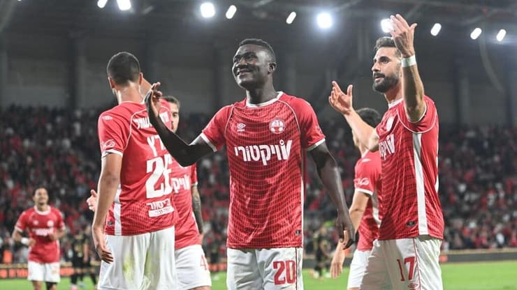 קינגס קאנגווה (צילום: הרצל יוסף) קינגס קאנגווה