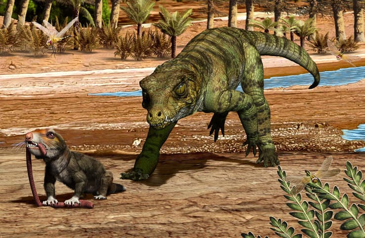 לפני כ-215 מיליון שנה, בצפון-מערב ארגנטינה (של ימינו), דמוי-תנין בשם Hemiprotosuchus leali מתכונן לטרוף את קרוב משפחת היונקים הקדומים Chaliminia musteloides