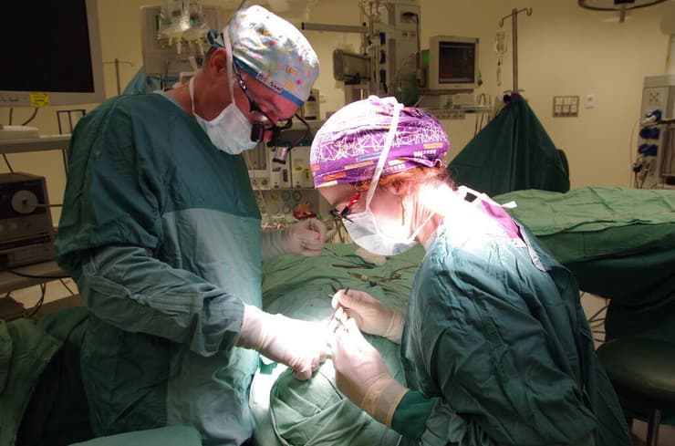 נילי ואביחי סגל