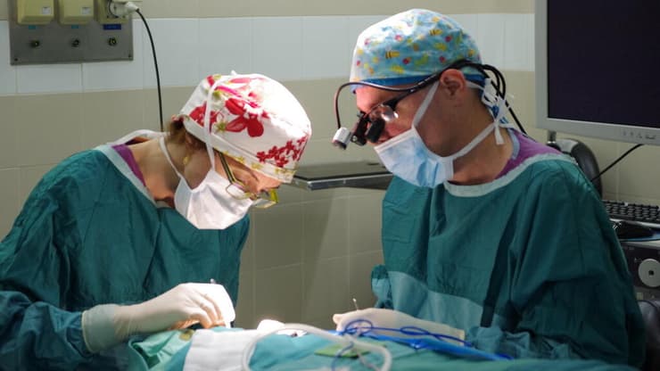 נילי ואביחי סגל