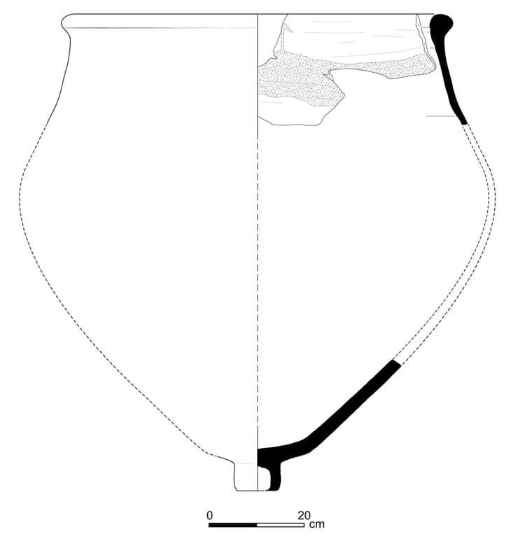 אחד הכלים ששימשו להפקת צבע הארגמן, שנחשפו לראשונה בתל שקמונה (איור: ספיר עד) אחד הכלים ששימשו להפקת צבע הארגמן, שנחשפו לראשונה בתל שקמונה