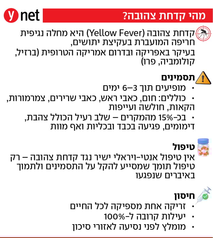 קדחת צהובה קדחת צהובה