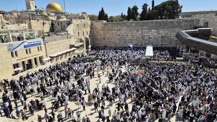 מתפללים בכותל המערבי (צילום: שילה פריד) מתפללים בכותל המערבי