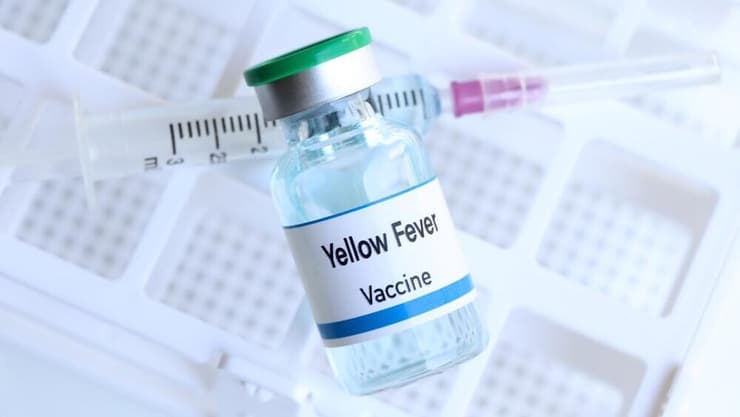 החיסון נגד קדחת צהובה יעיל מאוד (כמעט 100%) וניתן בדרך כלל כזריקה אחת לכל החיים (צילום: Shutterstock) קדחת צהובה