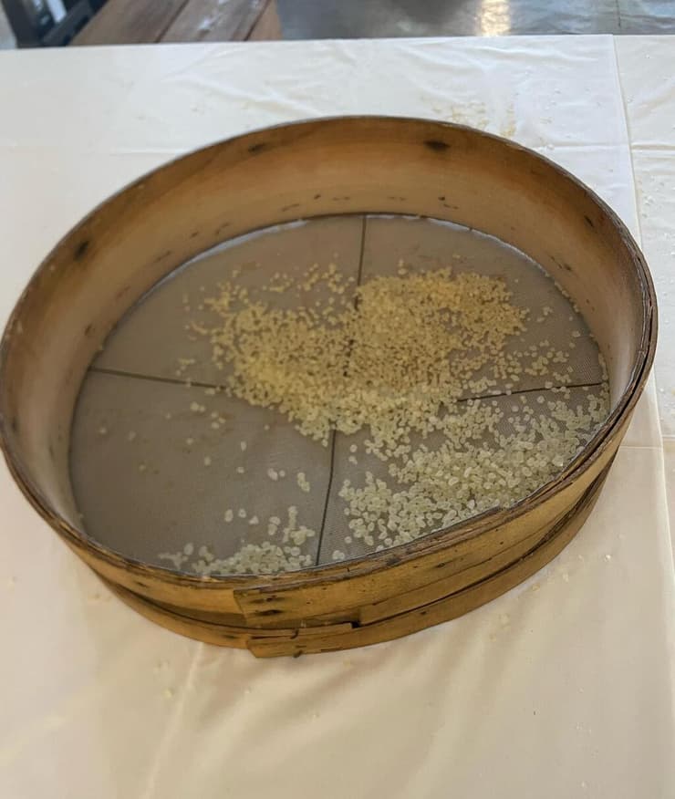 "הדמעות של כיוס": המוצג במוזיאון המסטיקא של כיוס