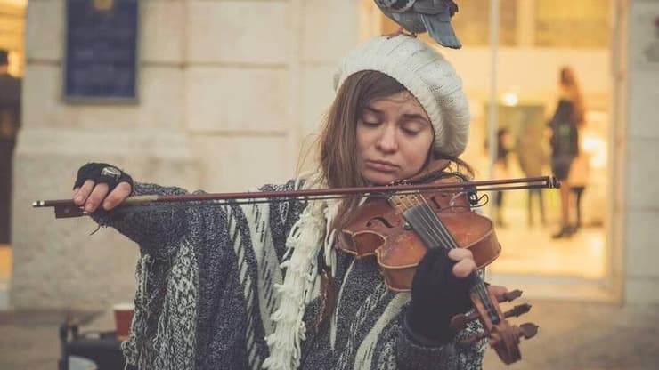 הכנרית מירושלים ציפורה אלכסנדר נעלמה בצפת