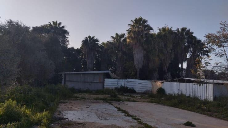 כלביית גליל ים, שממוקמת סמוך לחורשת עצים שחלקם מיועדים לשימור