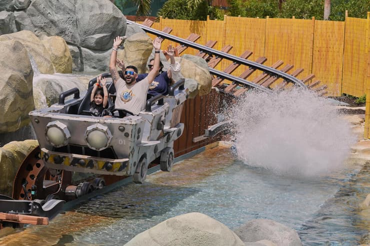 צילום: AP Photo/John Raoux אפיק יוניברס