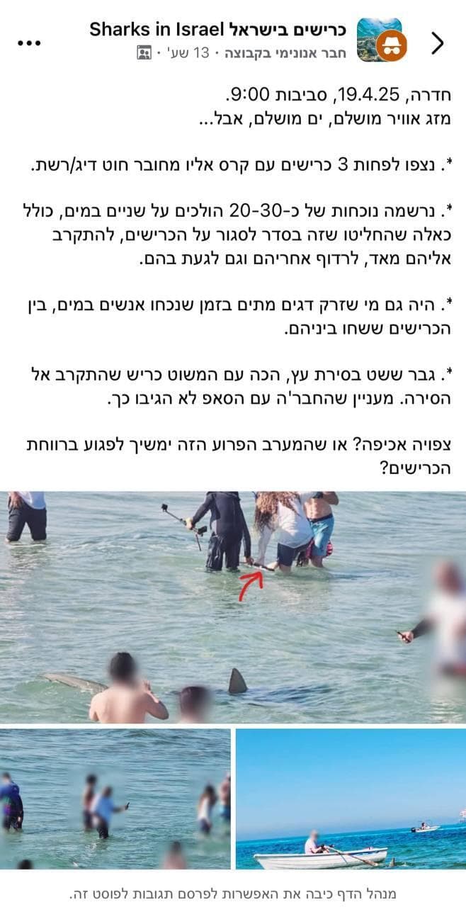 פוסט על אנשים שמפריעים לרווחת הכרישים בחוף בחדרה