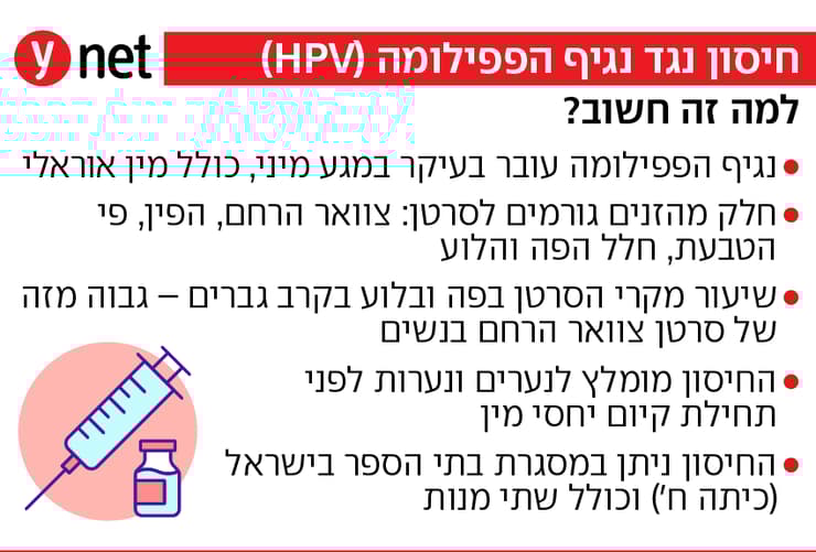 אינפו פפילומה אינפו פפילומה